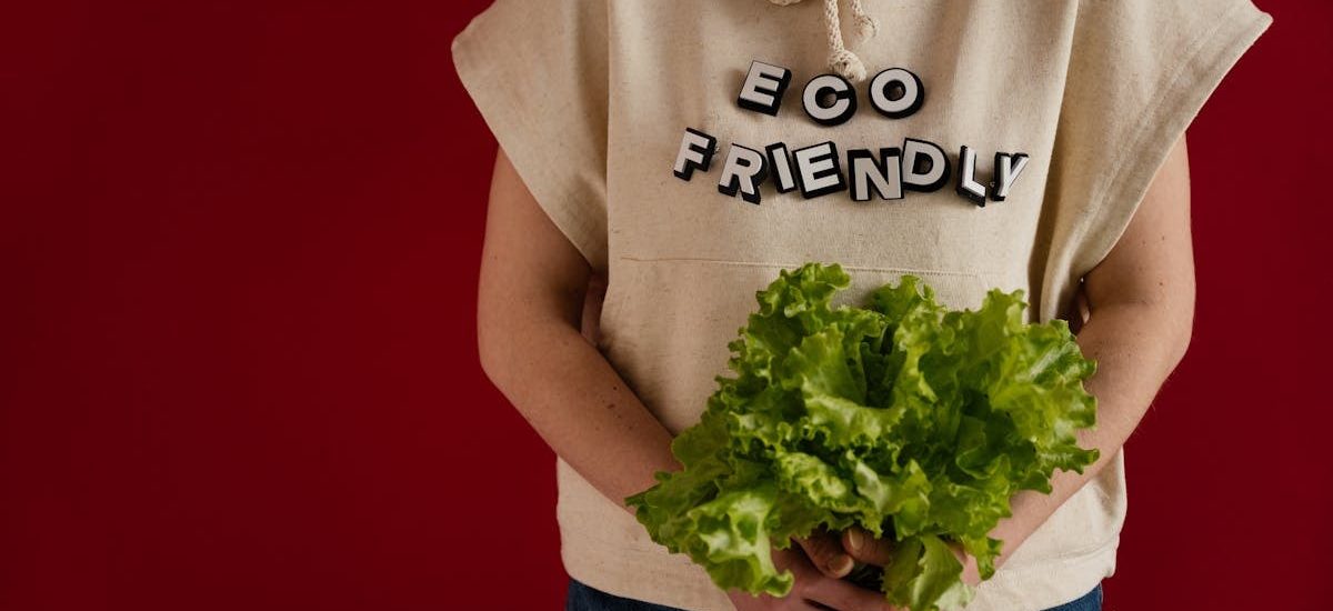 Woman in an eco-friendly hoodie holding fresh lettuce against a red background.